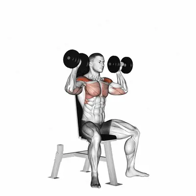 Dumbbell Seated Shoulder Press exercise targeting Shoulders and Deltoid Anterior