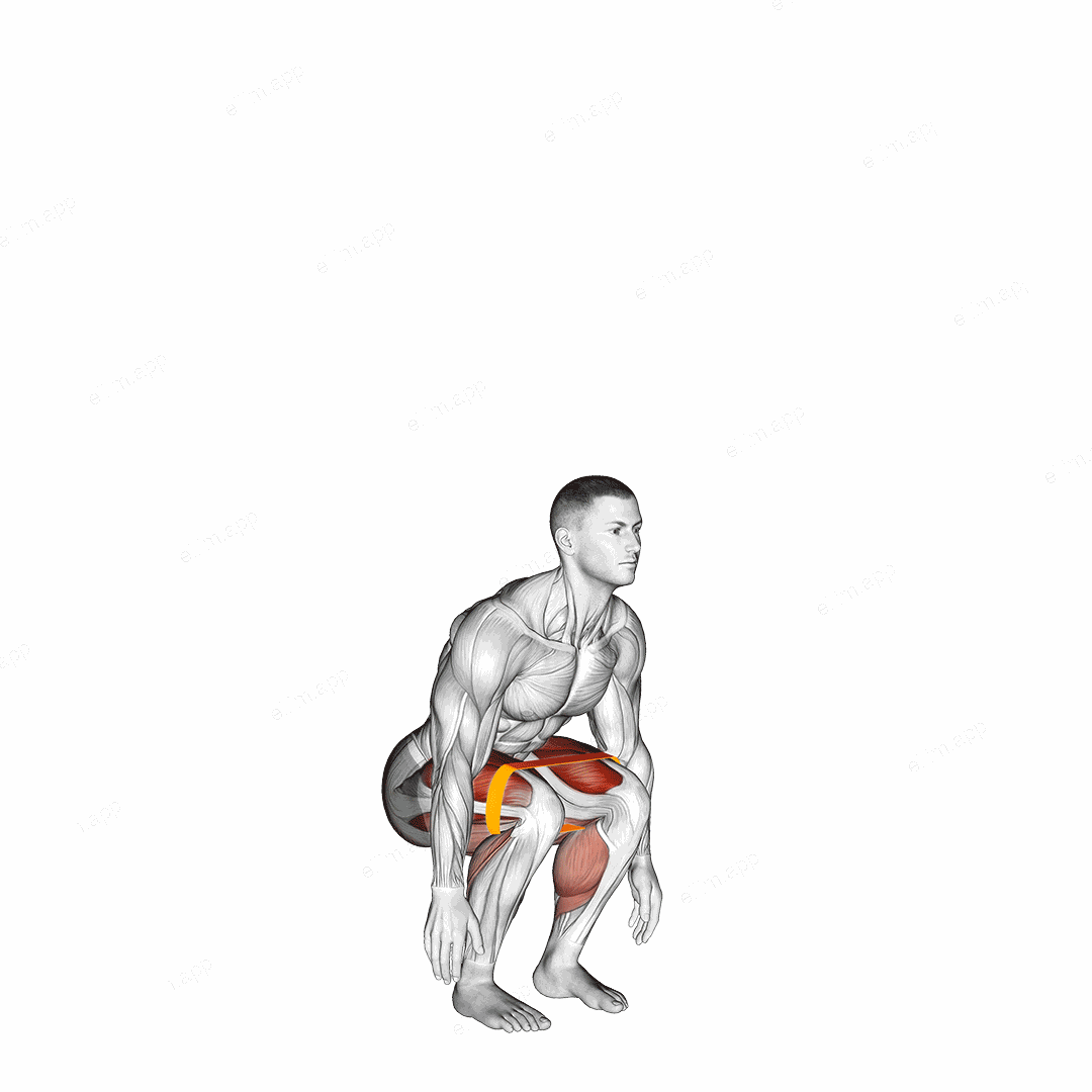Resistance Band Jump Squat exercise targeting Thighs