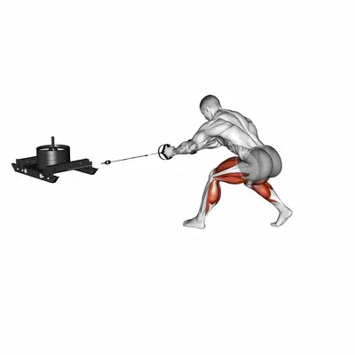 Power Sled Rear Drag exercise targeting Thighs