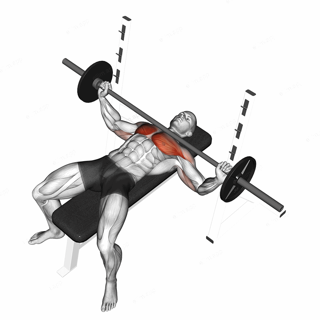 Barbell Wide Bench Press exercise targeting Chest and Pectoralis Major Sternal Head