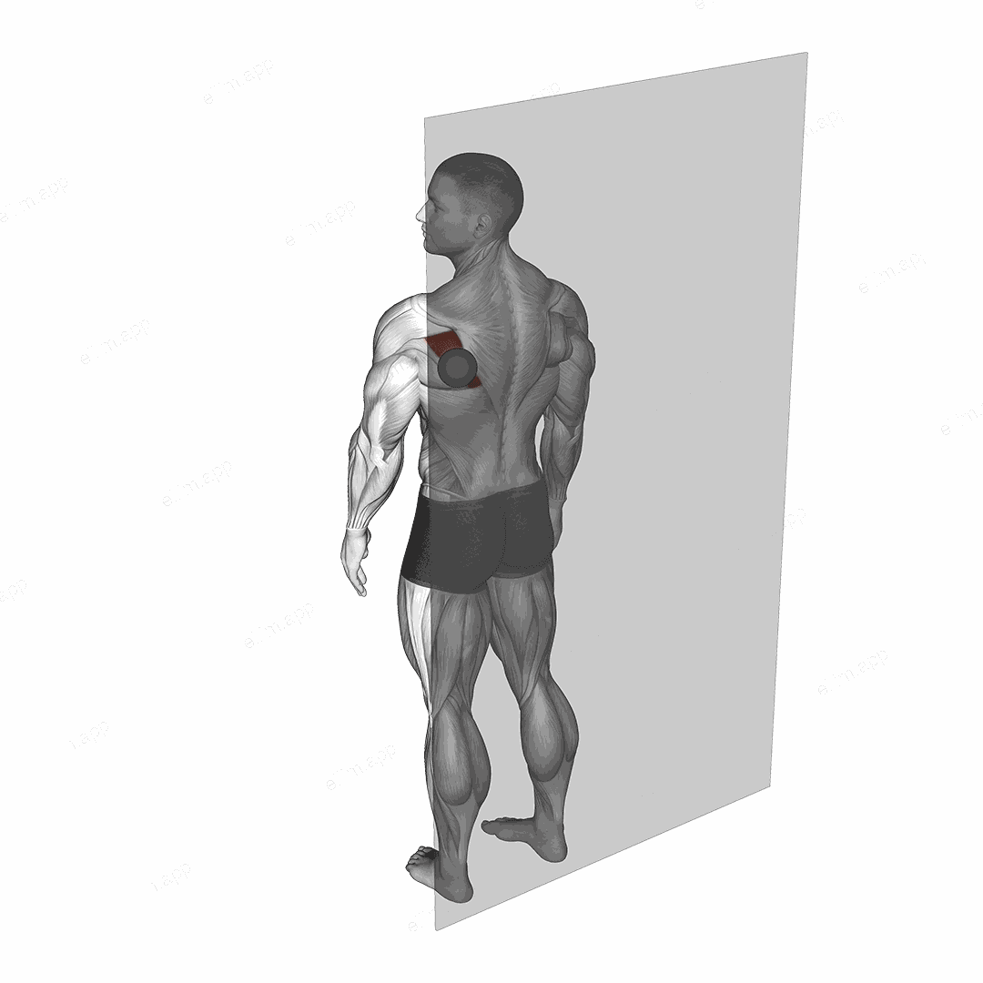 Roll Ball Infraspinatus exercise targeting Back