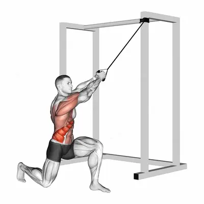 Band Half Kneeling Chop exercise targeting Waist and Obliques