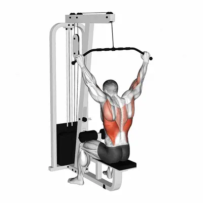 Cable Wide Grip Behind Neck Pulldown exercise targeting Back and Latissimus Dorsi