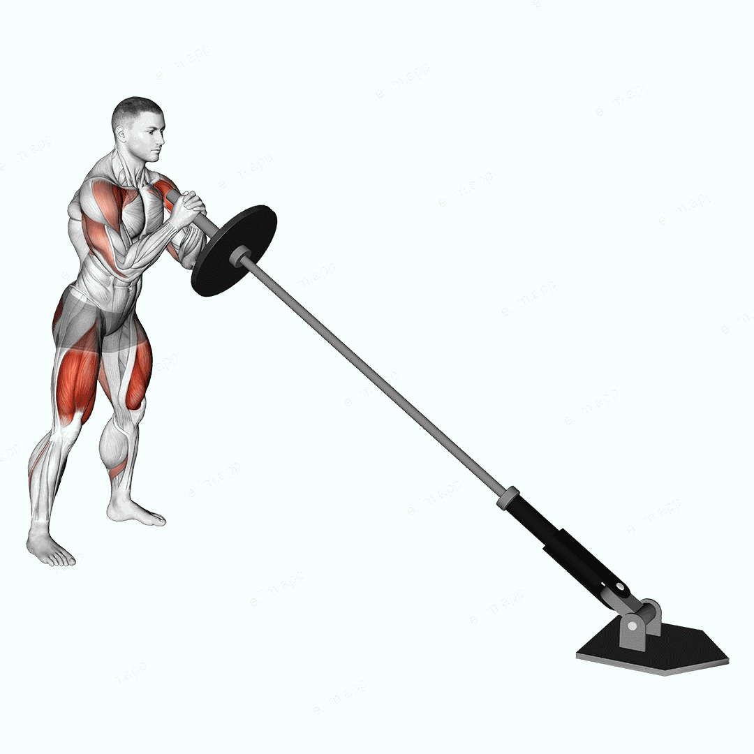 Landmine Squat and Press exercise targeting Deltoid Anterior and Gluteus Maximus