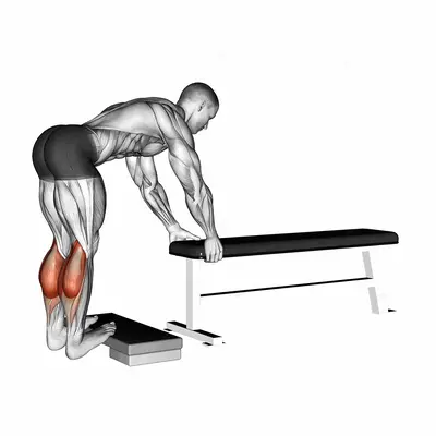 Donkey Calf Raise exercise targeting Calves and Gastrocnemius