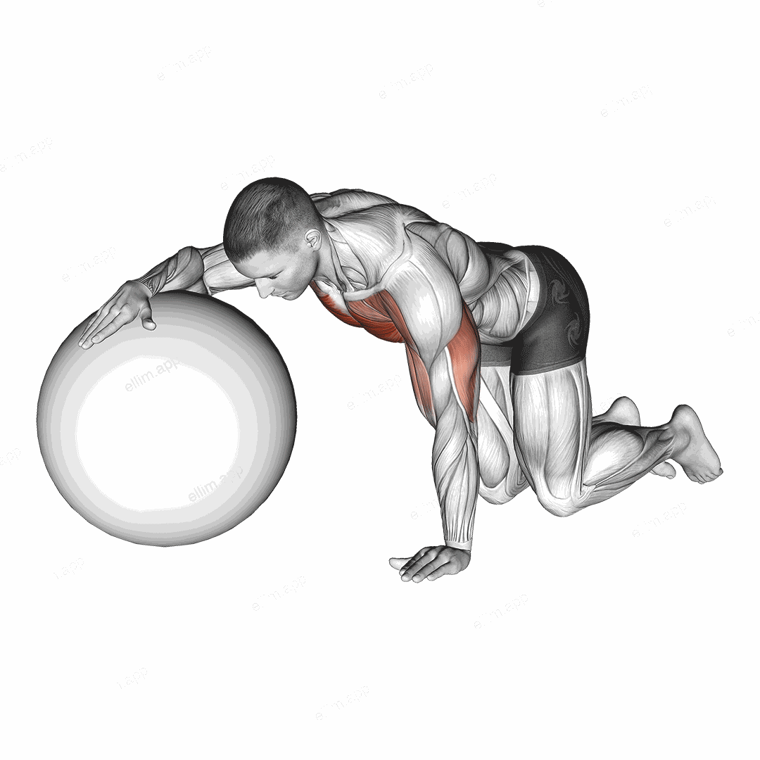 Chest Stretch with Exercise Ball exercise targeting Chest and Pectoralis Major Sternal Head