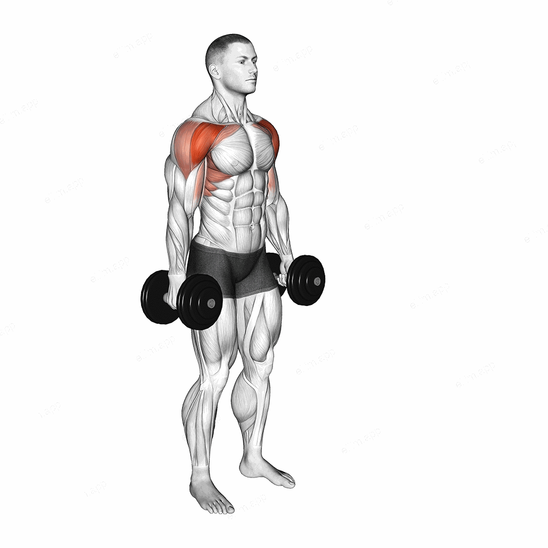 Dumbbell Standing Alternate Vertical Front Raises exercise targeting Shoulders and Deltoid Anterior