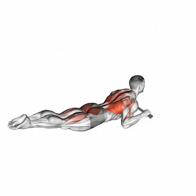 Superman Row with Towel exercise targeting Erector Spinae and Gluteus Maximus
