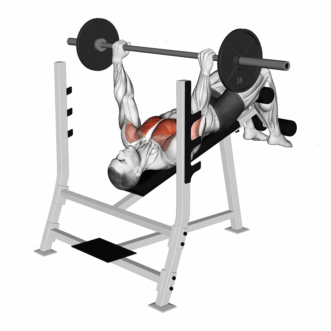 Barbell Pause Decline Bench Press exercise targeting Chest and Pectoralis Major Sternal Head