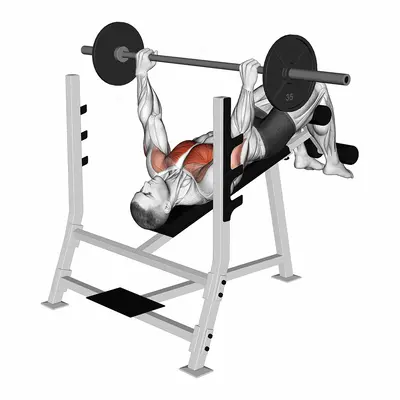 Barbell Pause Decline Bench Press exercise targeting Chest and Pectoralis Major Sternal Head