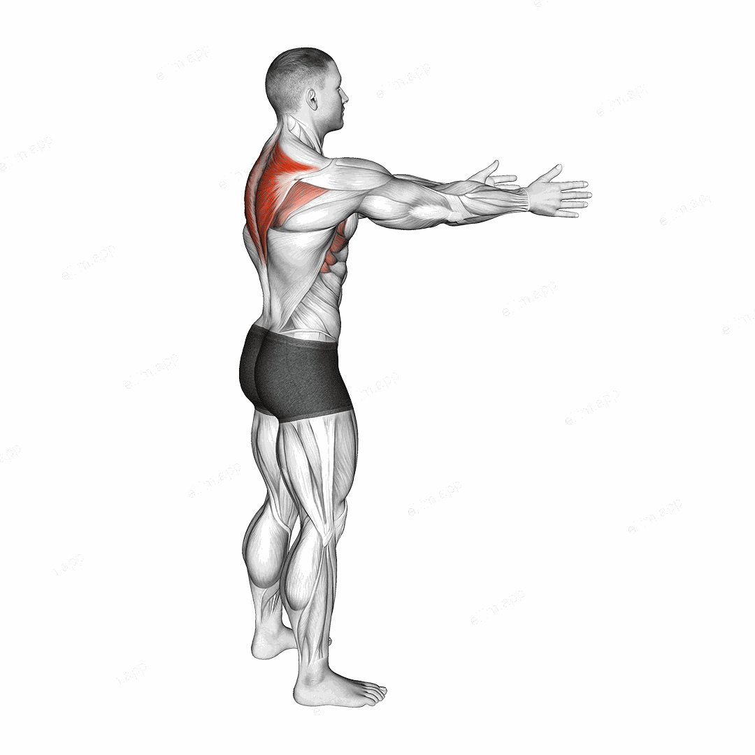 Bodyweight Standing Scapula Row exercise targeting Back and Trapezius Lower Fibers