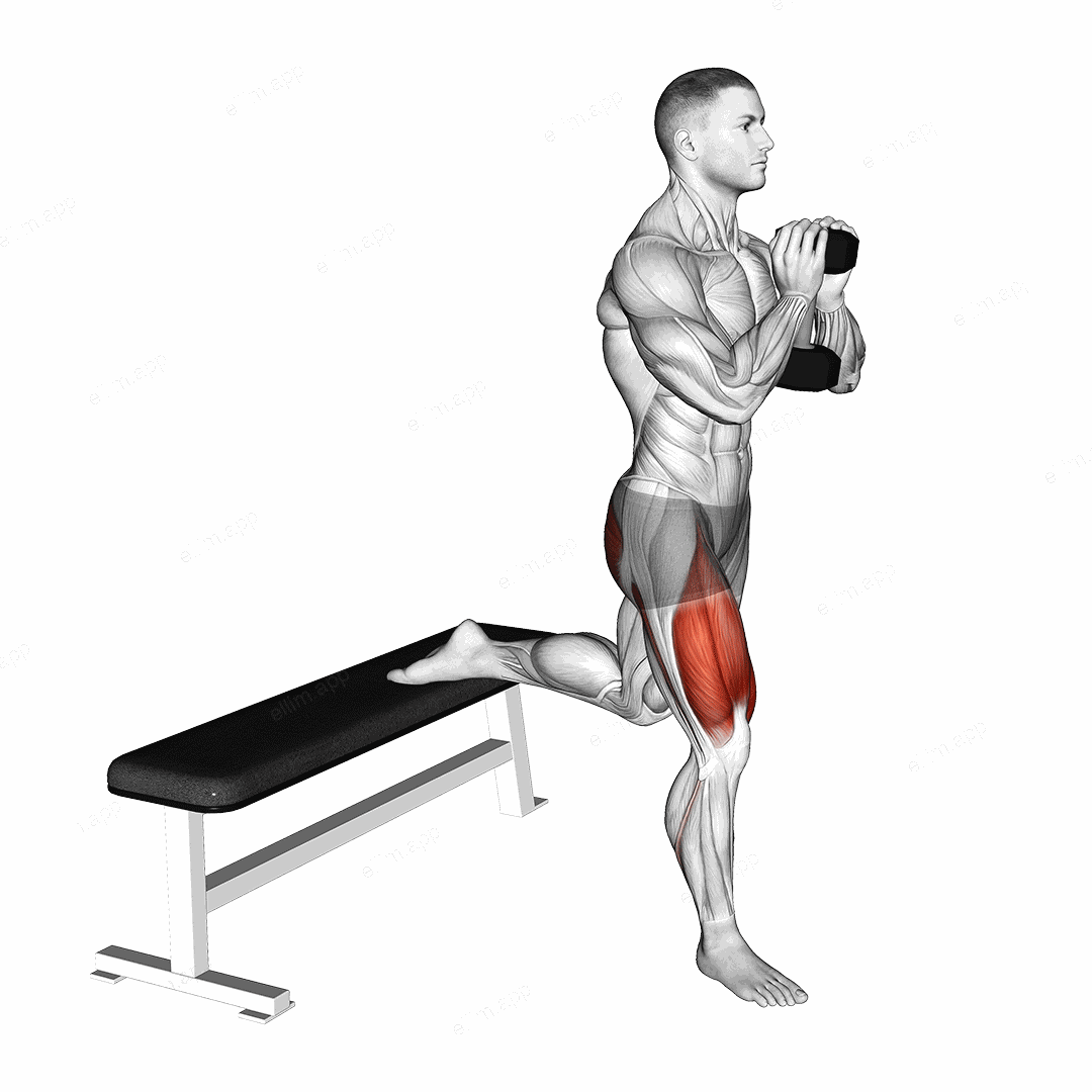 Dumbbell Goblet Bulgarian Split Squat exercise targeting Thighs