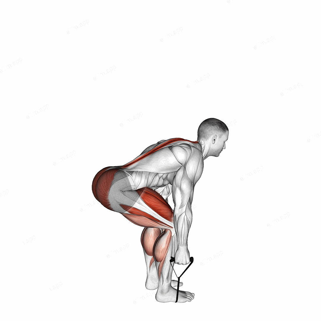 Band Deadlift exercise targeting Hips and Gluteus Maximus
