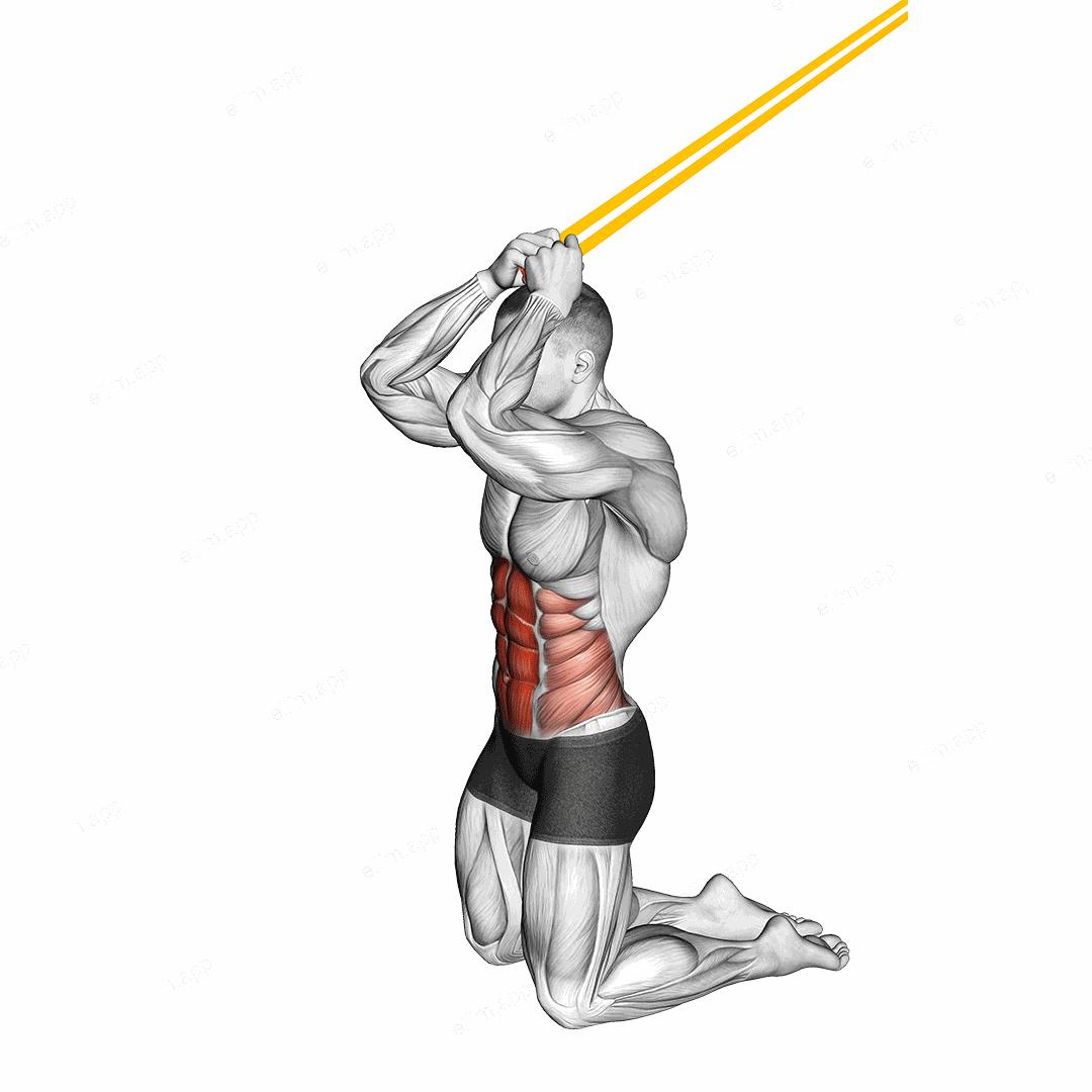 Resistance Band Kneeling Ab Crunch exercise targeting Waist and Rectus Abdominis