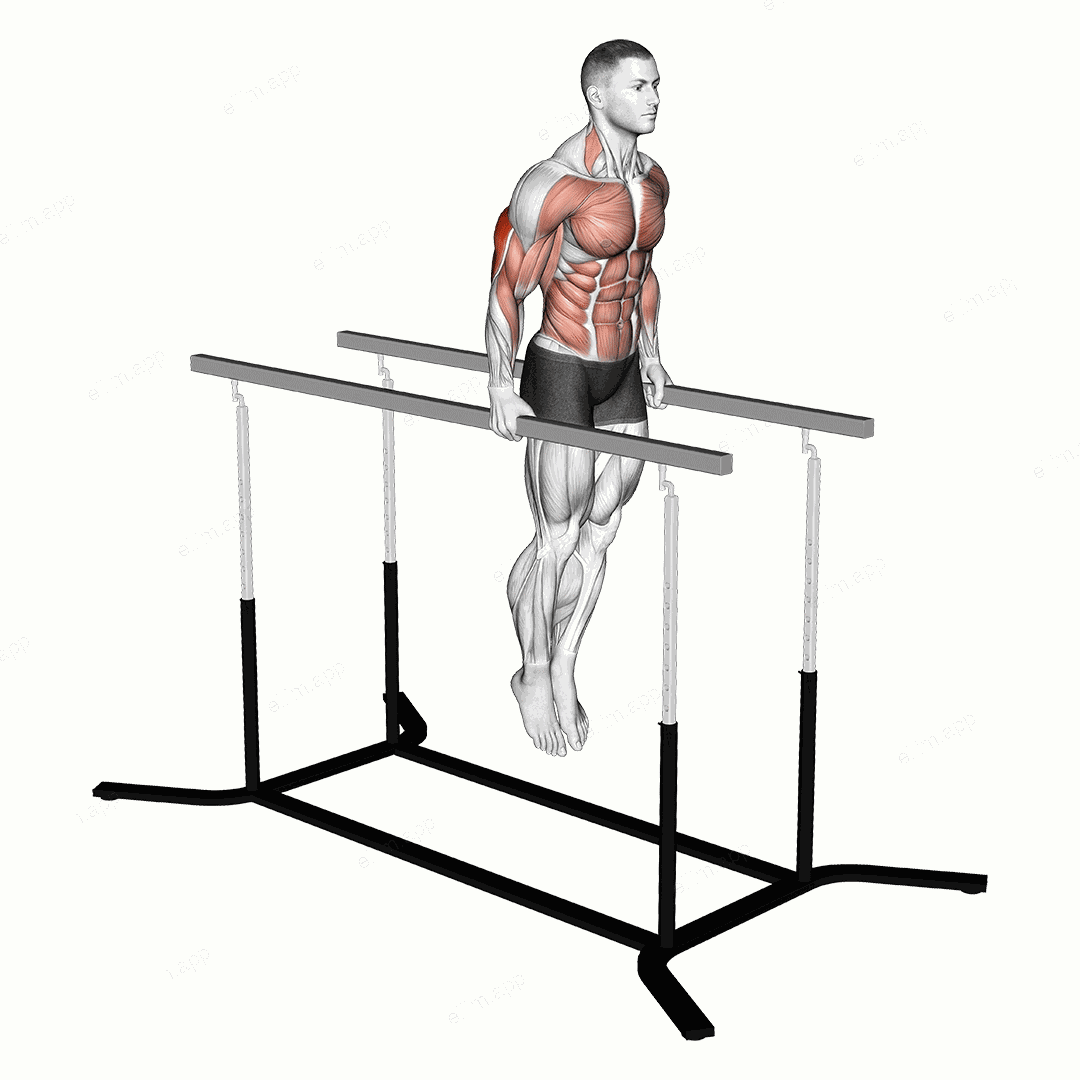 Elbow dips exercise targeting Upper Arms