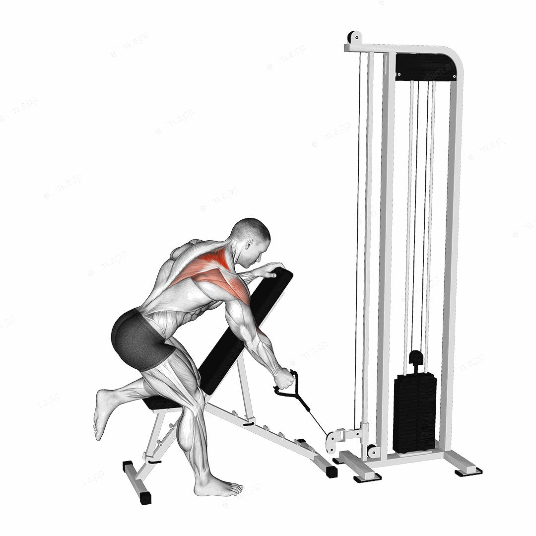 Cable Single Arm Low Scapular Row exercise targeting Back