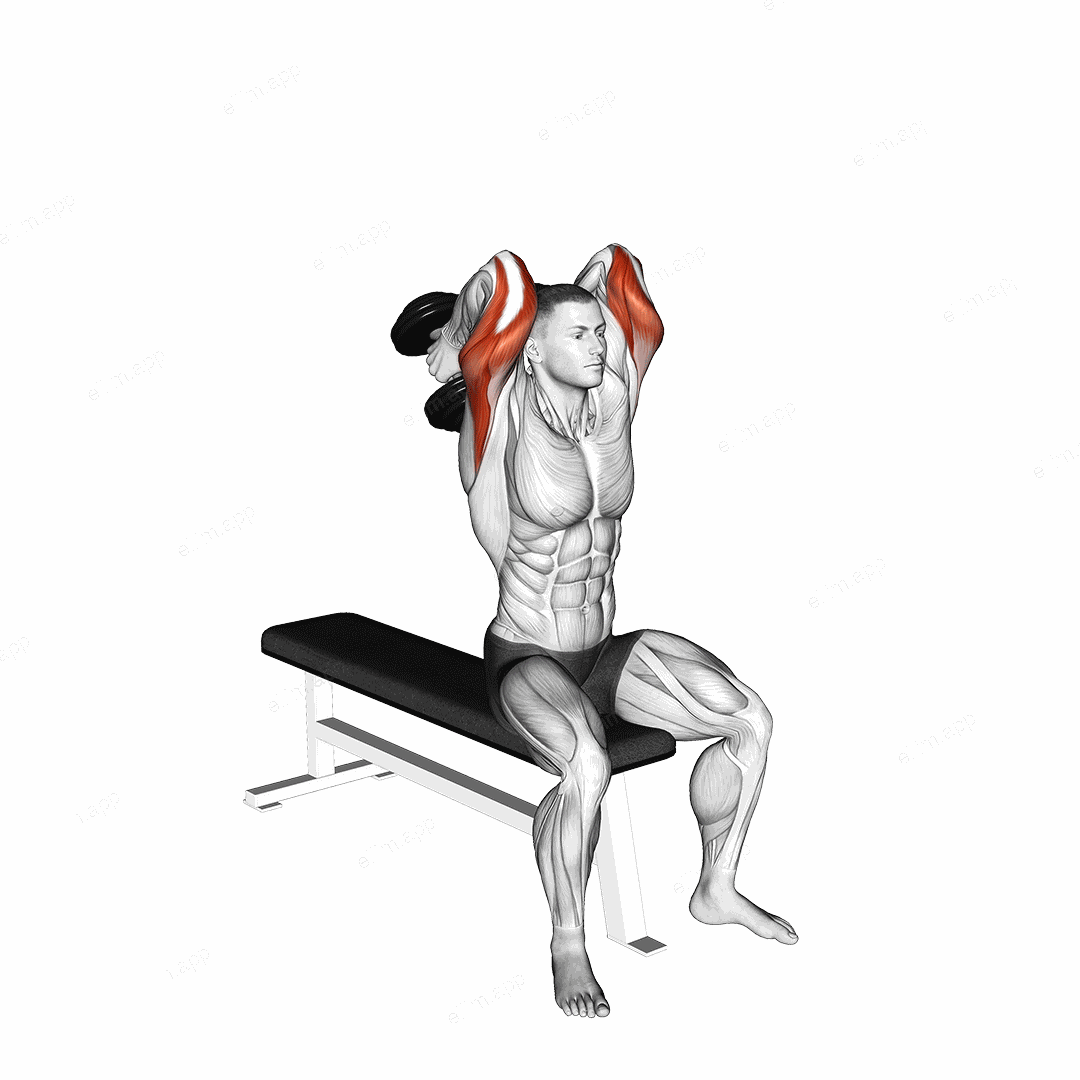 Dumbbell Seated Alternate Overhead Triceps Extension exercise targeting Upper Arms