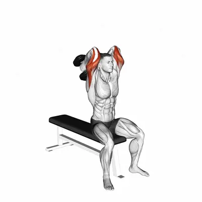 Dumbbell Seated Alternate Overhead Triceps Extension exercise targeting Upper Arms