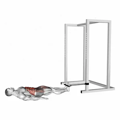 Band Reverse Crunch exercise targeting Waist and Iliopsoas