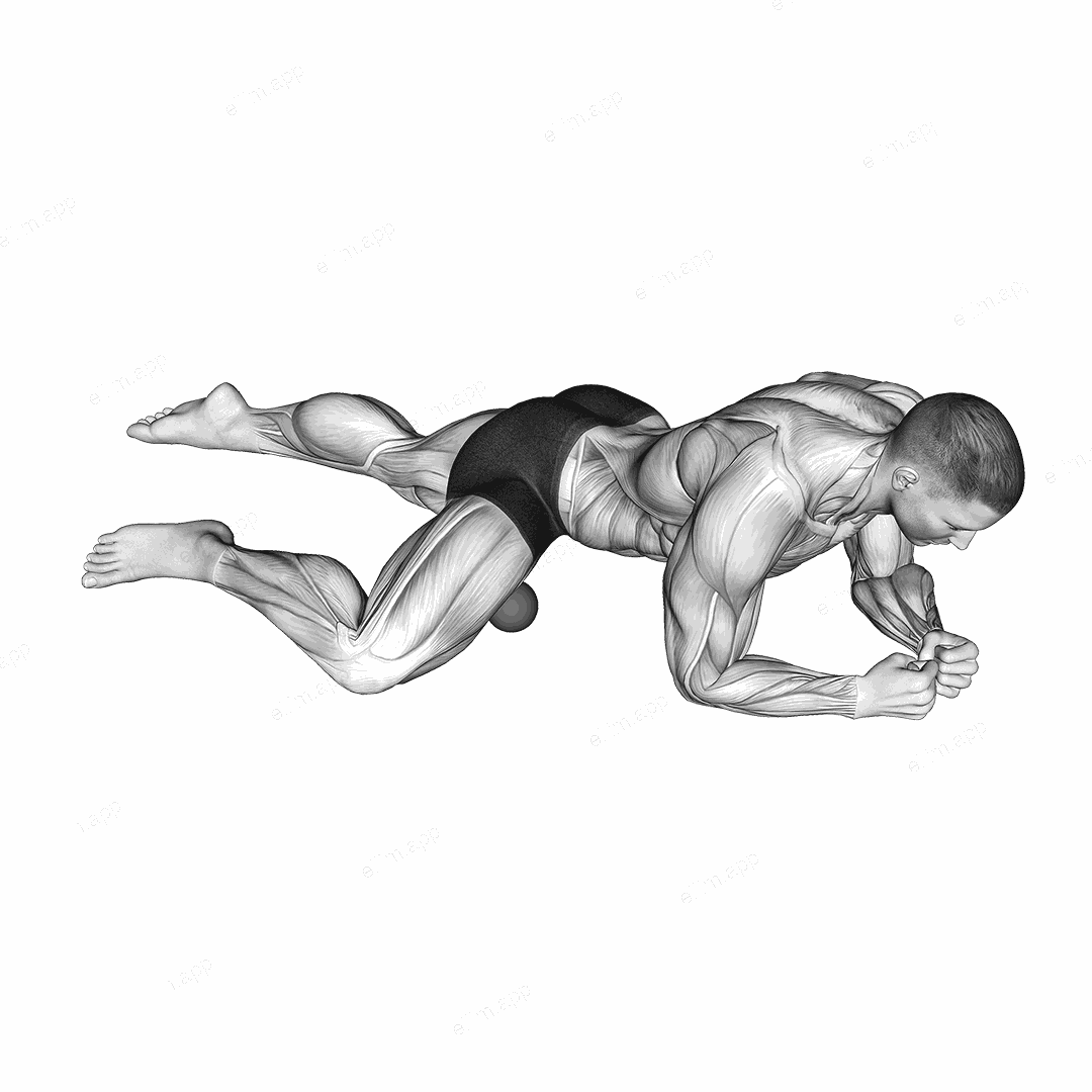 Roll Ball Adductors exercise targeting Hips