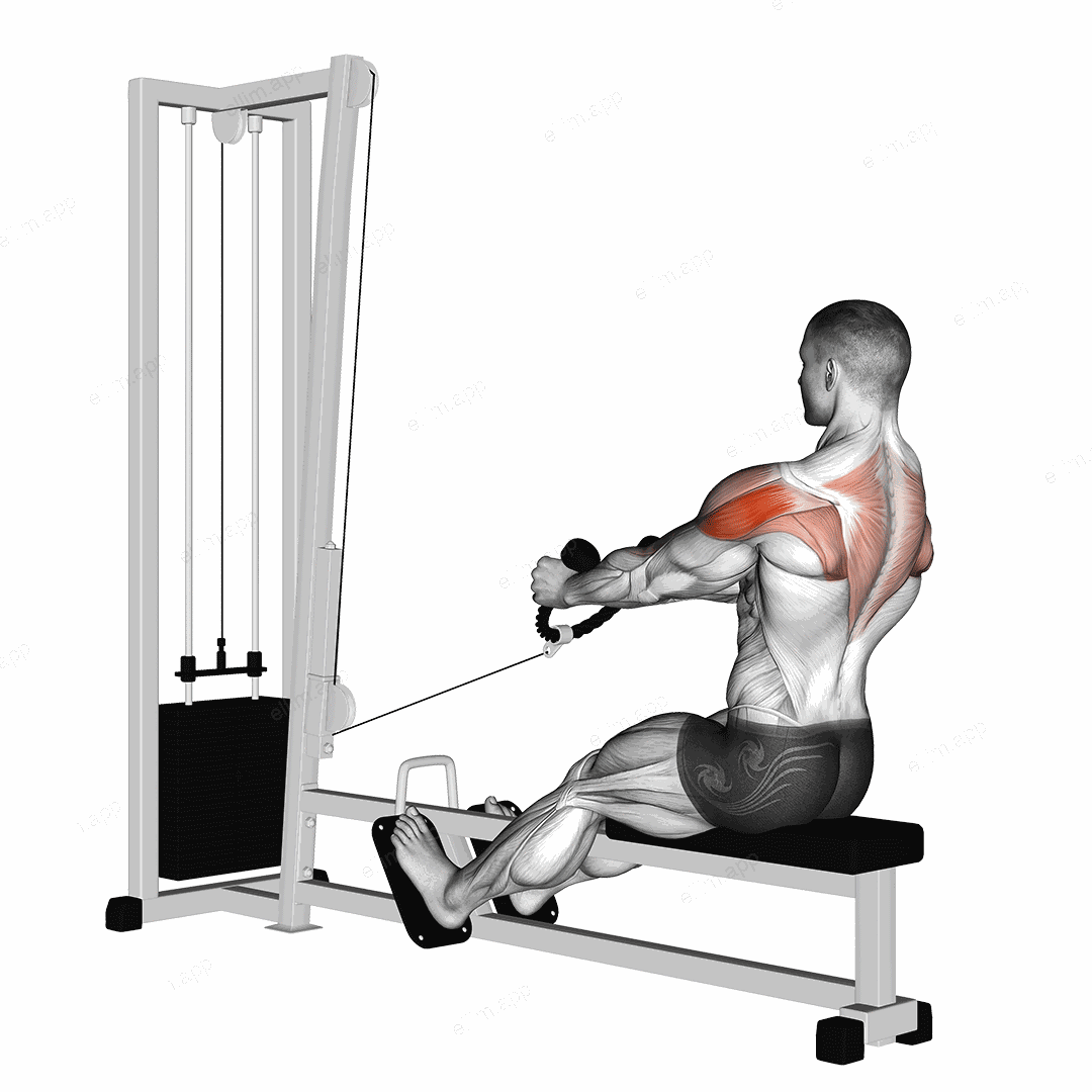 Cable Rear Delt Row (stirrups) exercise targeting Shoulders and Deltoid Posterior