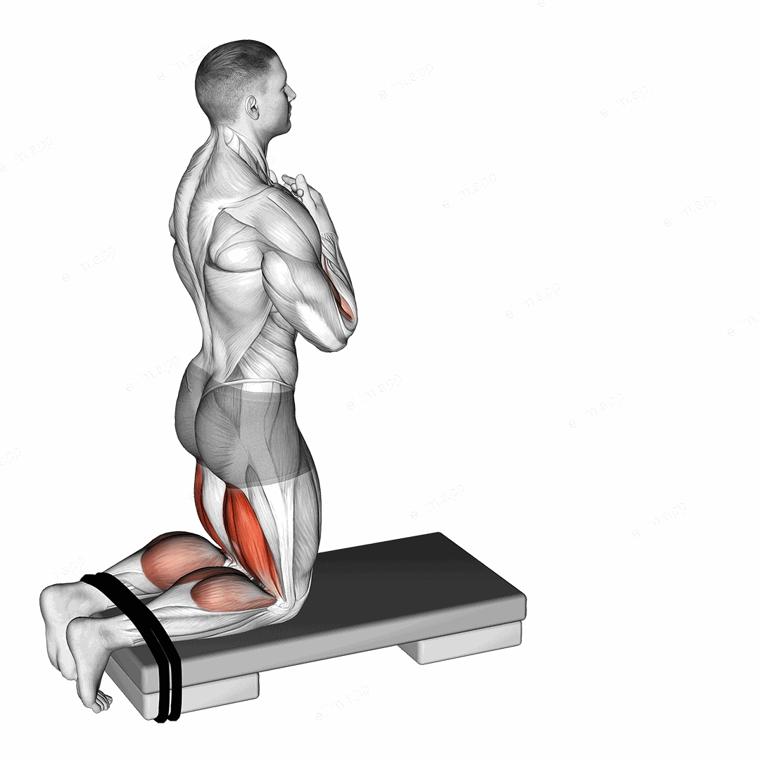 Self assisted Inverse Leg Curl exercise targeting Thighs