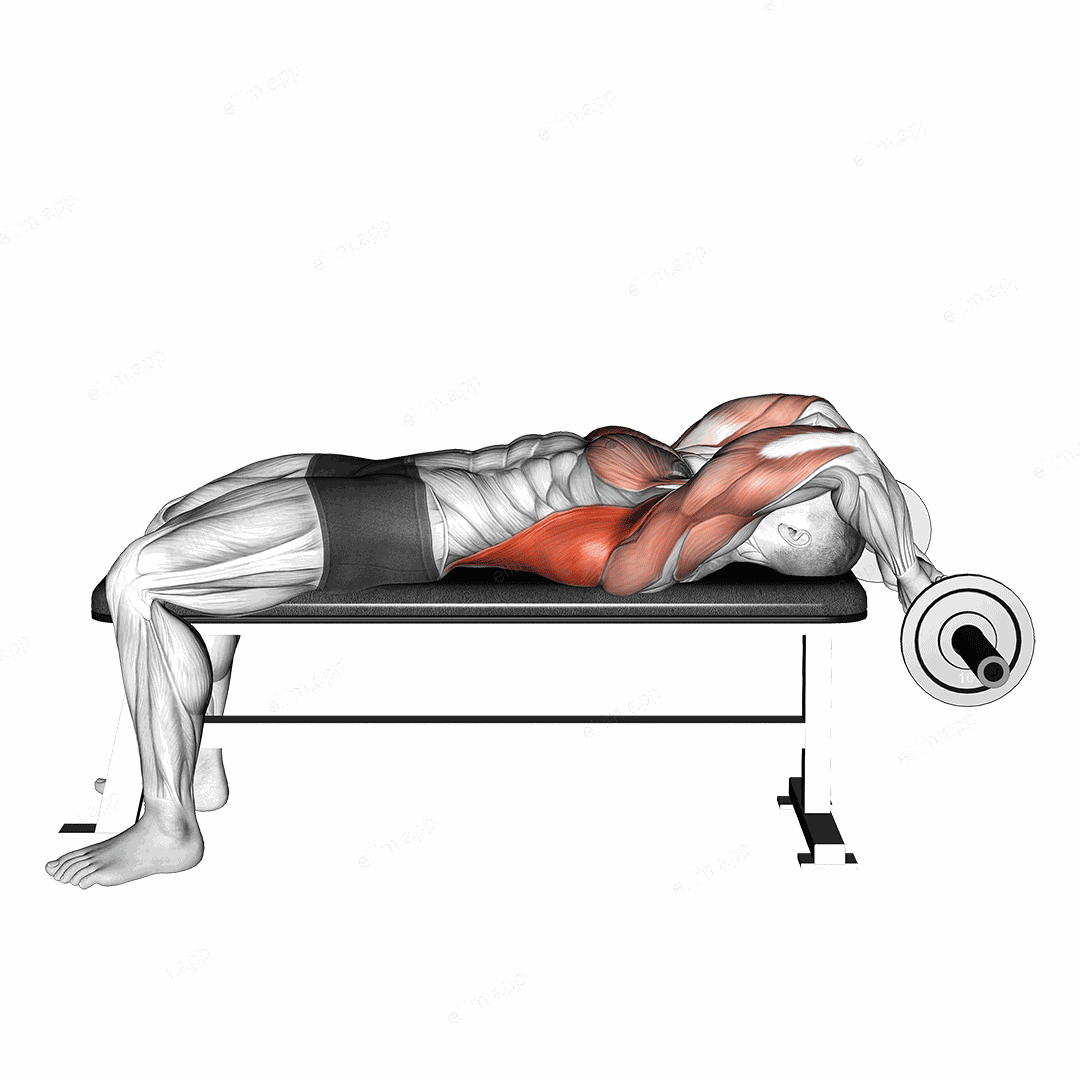 EZ-Bar Lying Bent Arms Pullover exercise targeting Back