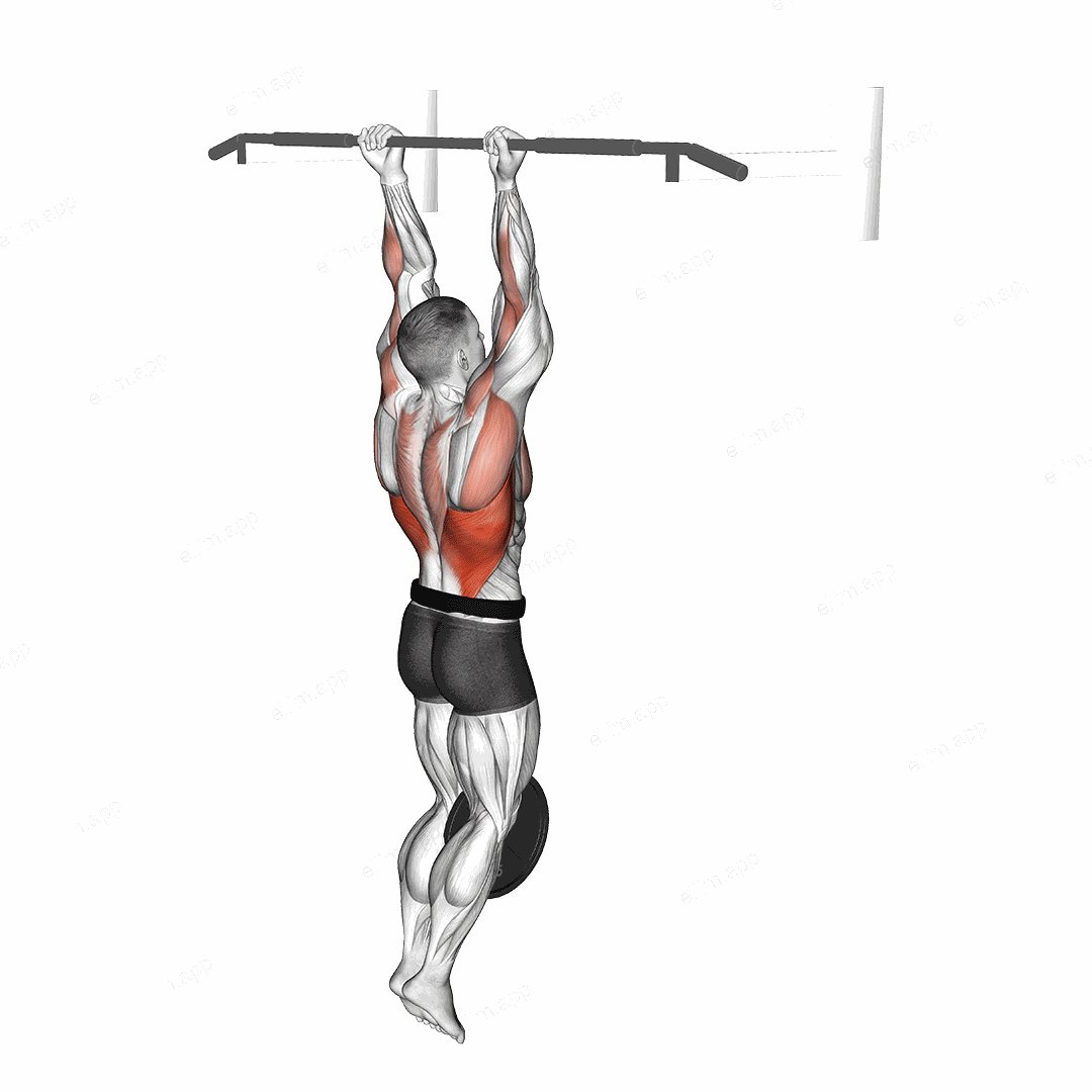 Weighted Chin-Up exercise targeting Back and Infraspinatus