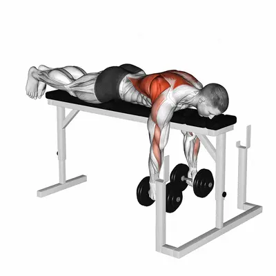 Dumbbell Lying Row on Rack exercise targeting Back