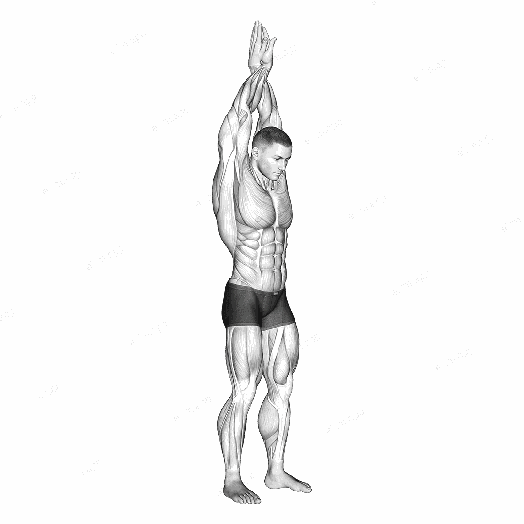 Reach up back stretch exercise targeting Back