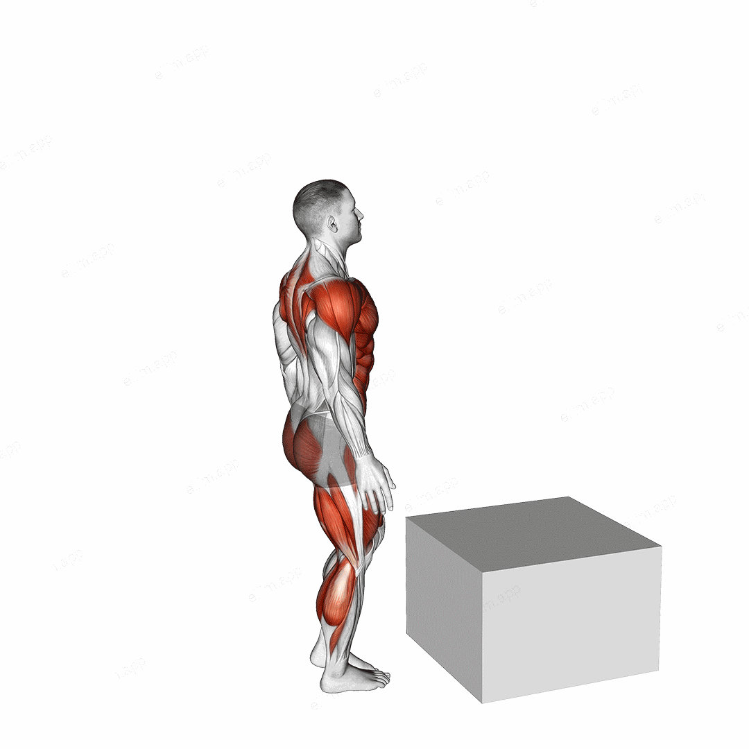 Single Leg Box Jump exercise targeting Plyometrics