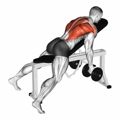 Dumbbell Lying Rear Delt Row exercise targeting Back and Infraspinatus