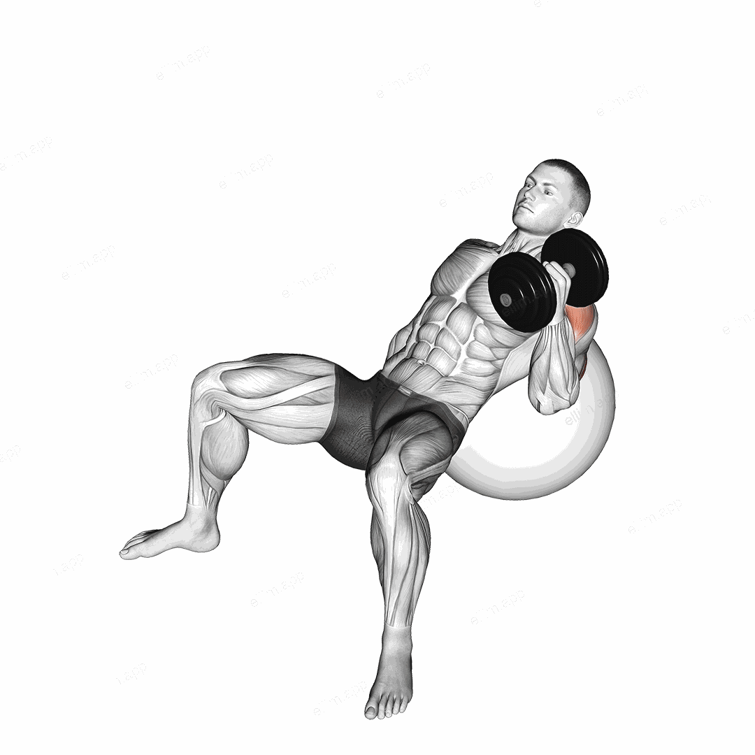 Dumbbell Incline One Arm Hammer Press on Exercise Ball exercise targeting Upper Arms