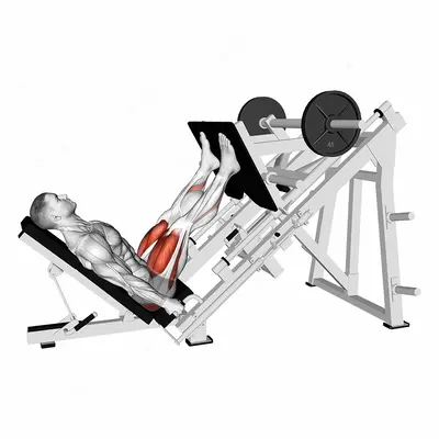 Sled Glute Dominant Leg Press exercise targeting Hips