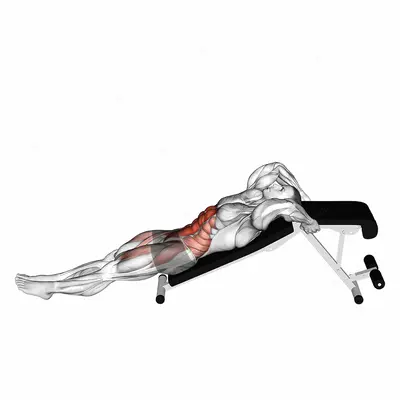 Decline Leg Hip Raise exercise targeting Iliopsoas and Rectus Abdominis