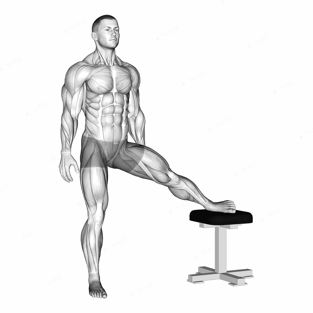 Standing Leg Up Adductor Stretch exercise targeting Hips