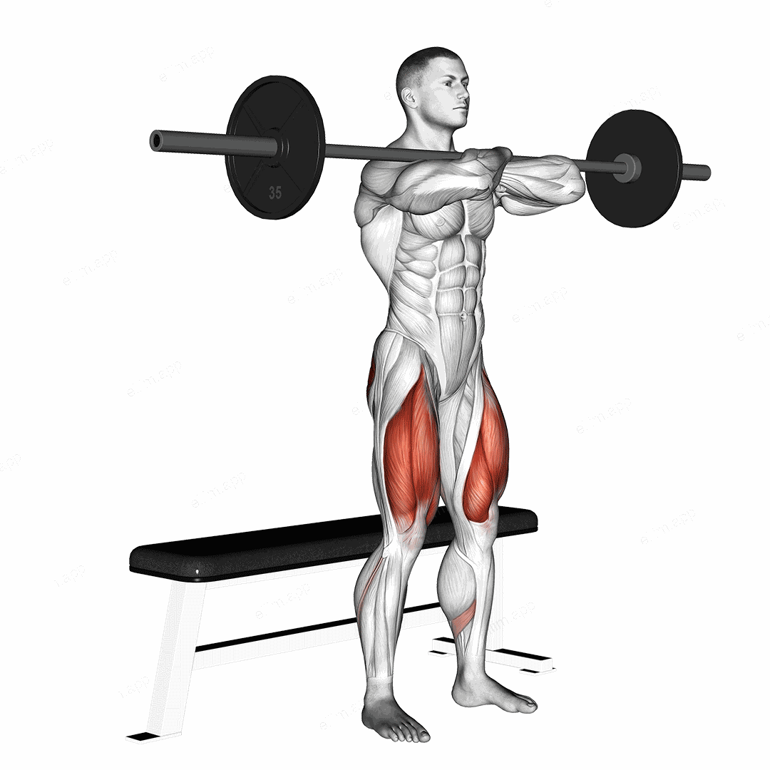 Barbell Bench Front Squat exercise targeting Thighs and Quadriceps