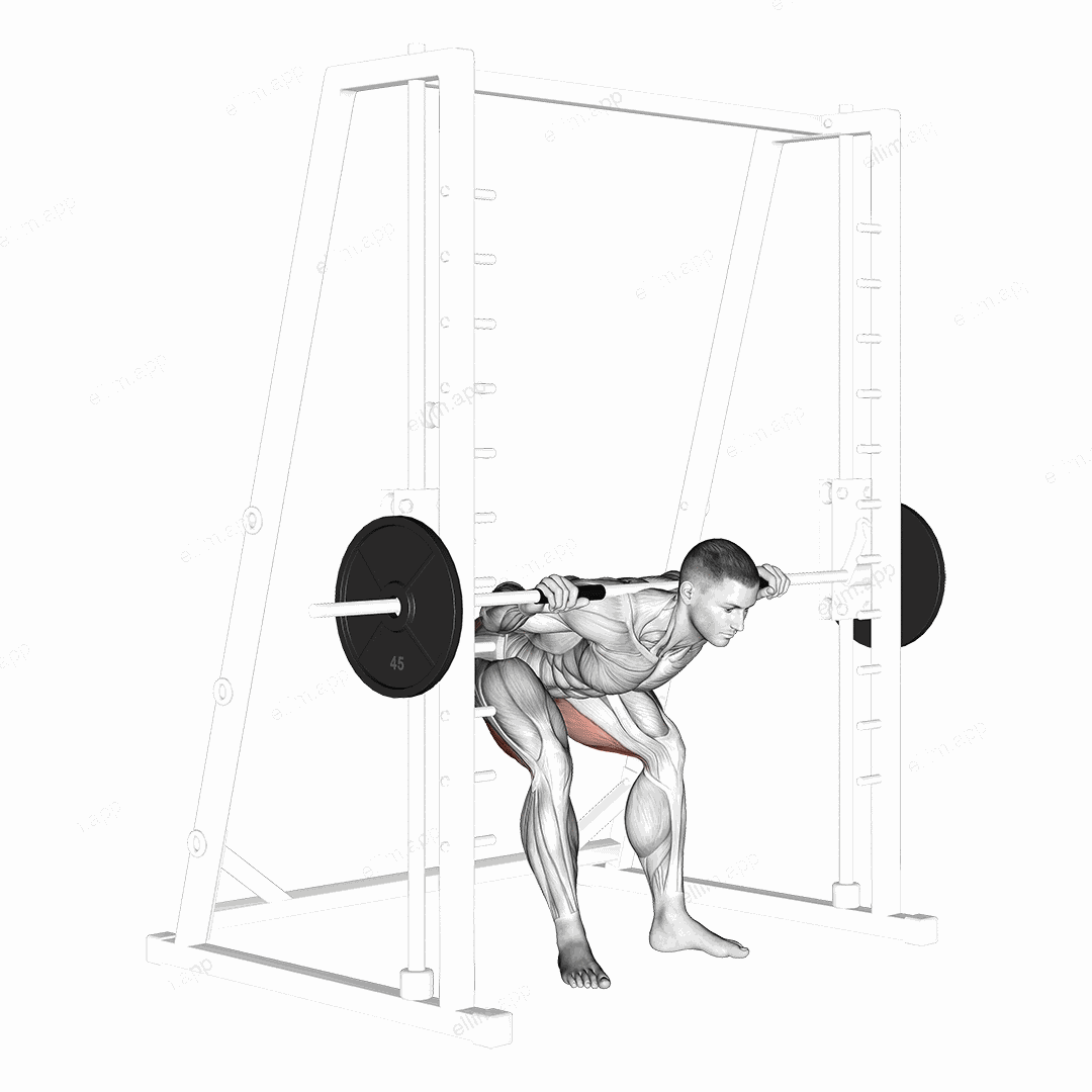 Smith Good Morning Off Pins exercise targeting Hips