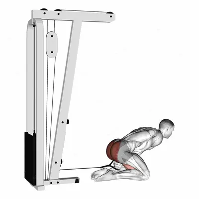 Cable Kneeling Pull Through exercise targeting Hips and Gluteus Maximus
