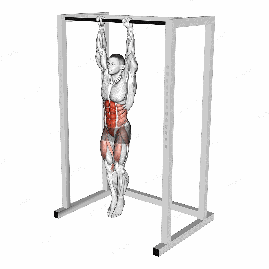 Hanging Knees to Elbows exercise targeting Waist and Iliopsoas