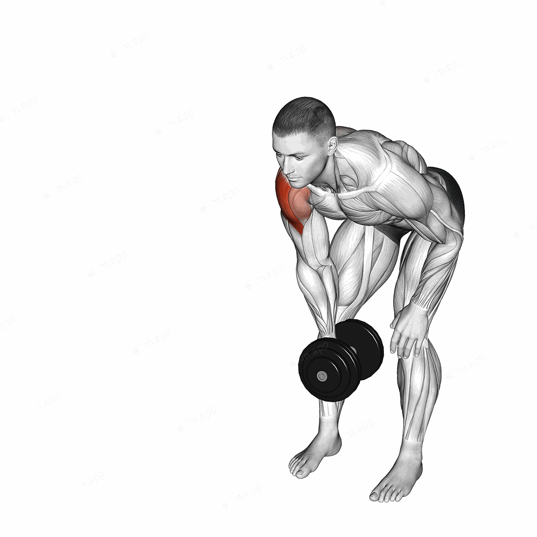 Dumbbell One Arm Y Elevation exercise targeting Shoulders and Deltoid Lateral