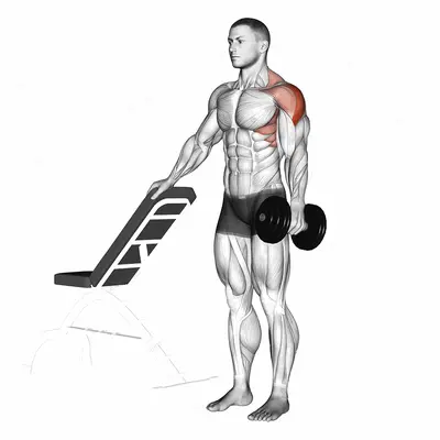 Dumbbell One Arm Lateral Raise exercise targeting Shoulders and Deltoid Lateral