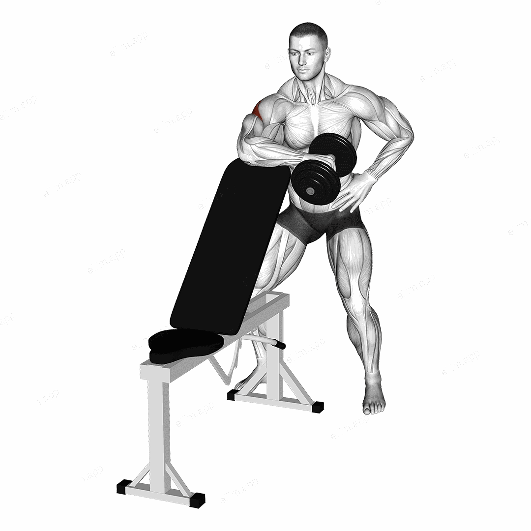 Dumbbell Bench Supported External Rotation exercise targeting Back and Teres Major