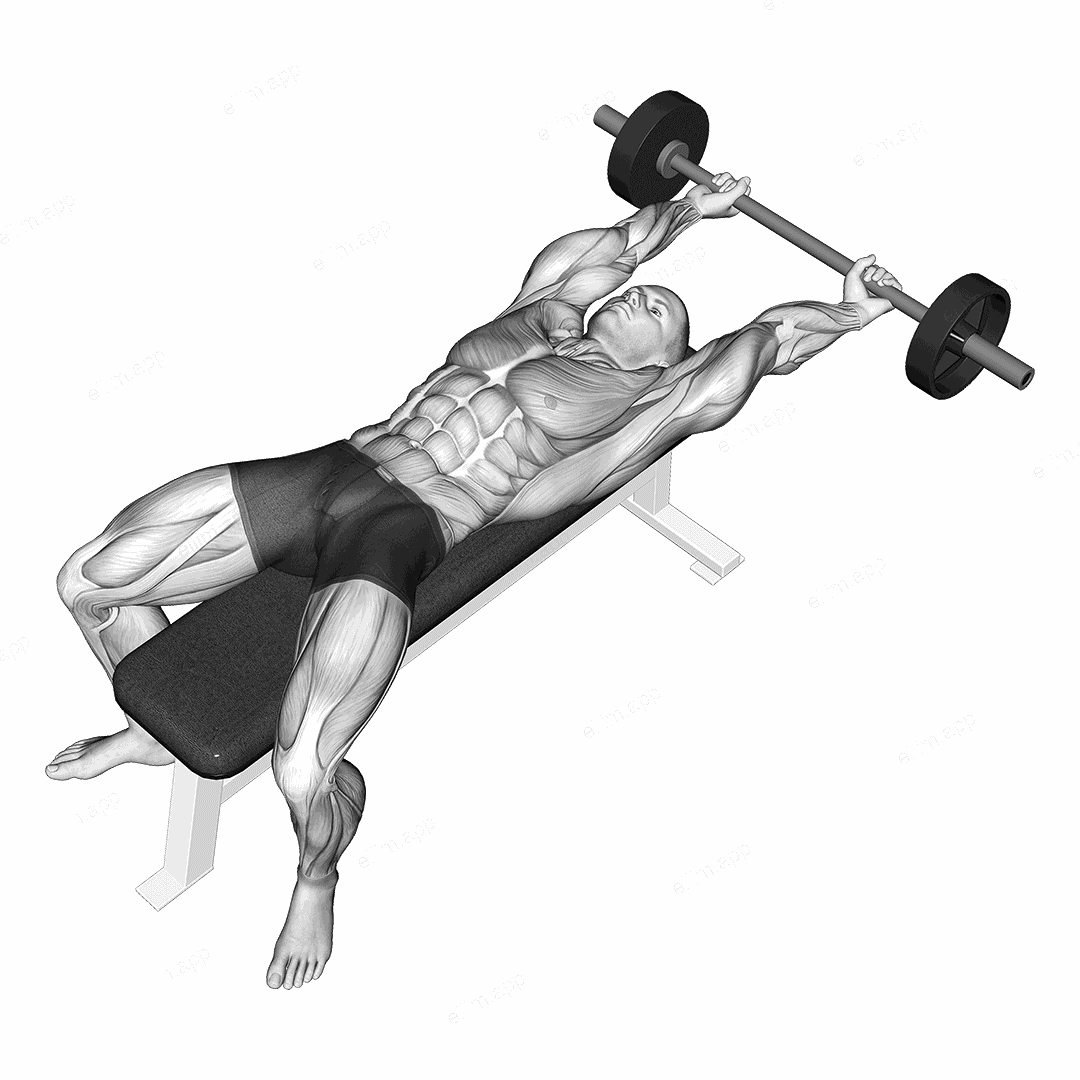 Barbell Pullover Hold exercise targeting Back
