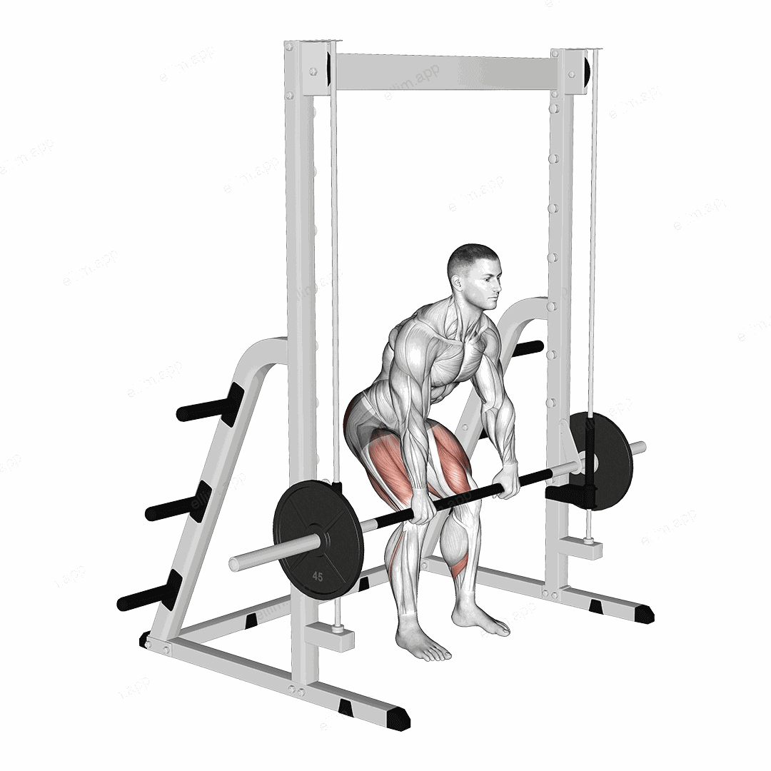 Smith Rack Pull exercise targeting Hips