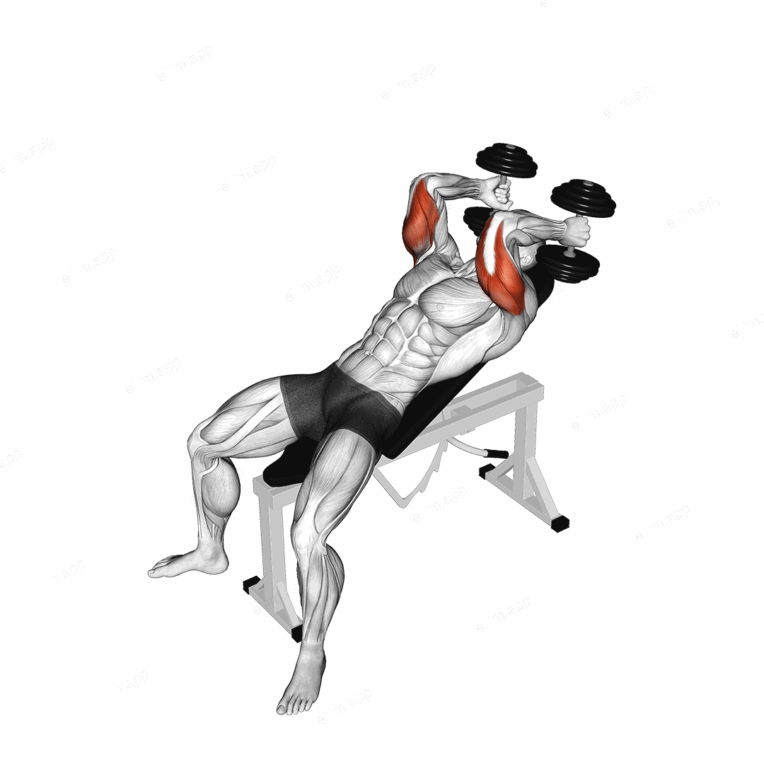 Dumbbell Incline Triceps Extension exercise targeting Upper Arms and Triceps Brachii