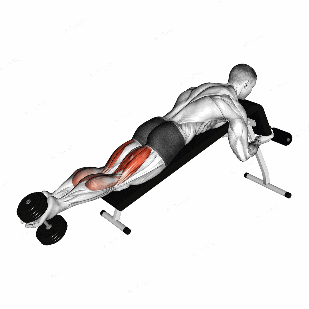 Dumbbell Decline Lying Leg Curl exercise targeting Thighs