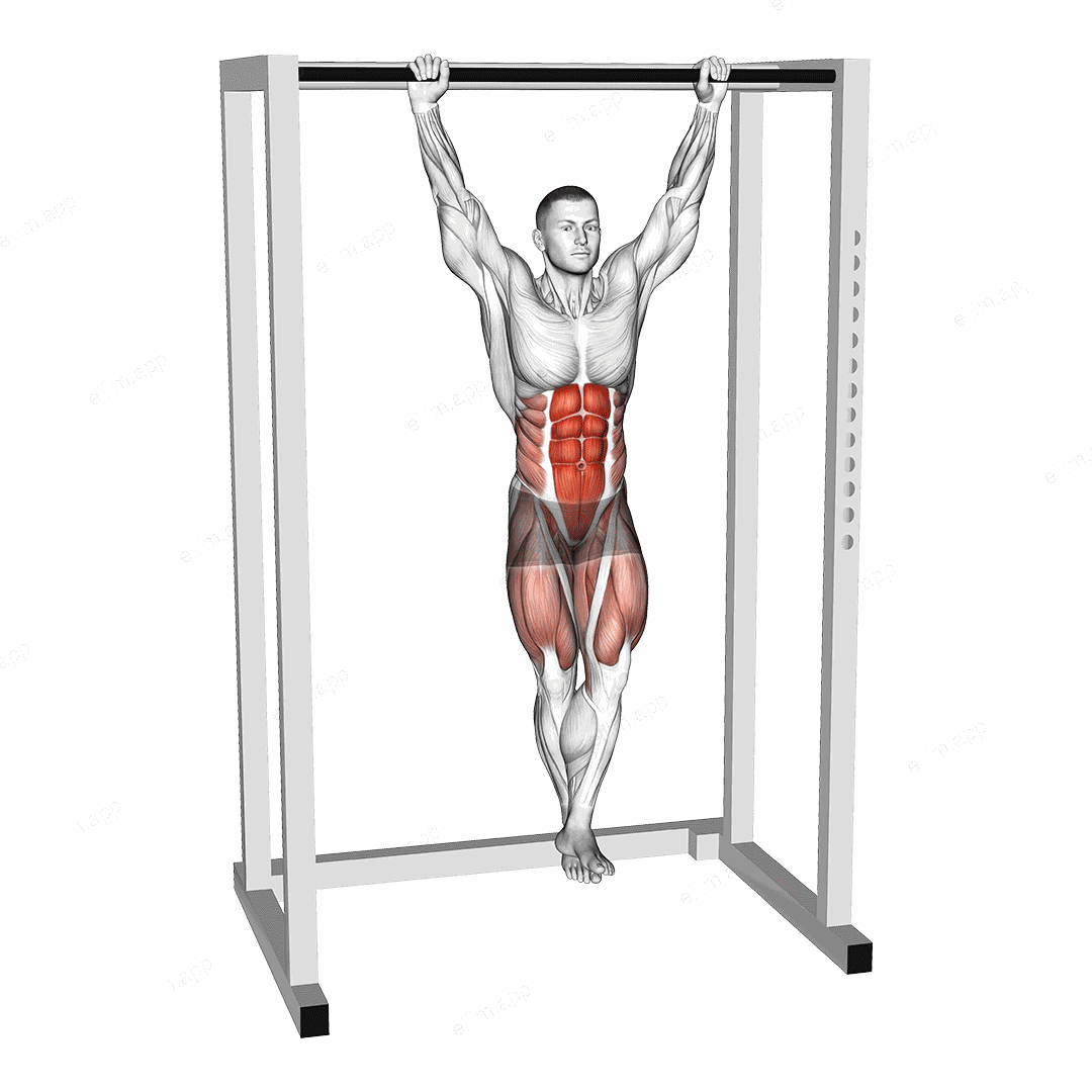 Hanging Knee Circle Raise exercise targeting Hips