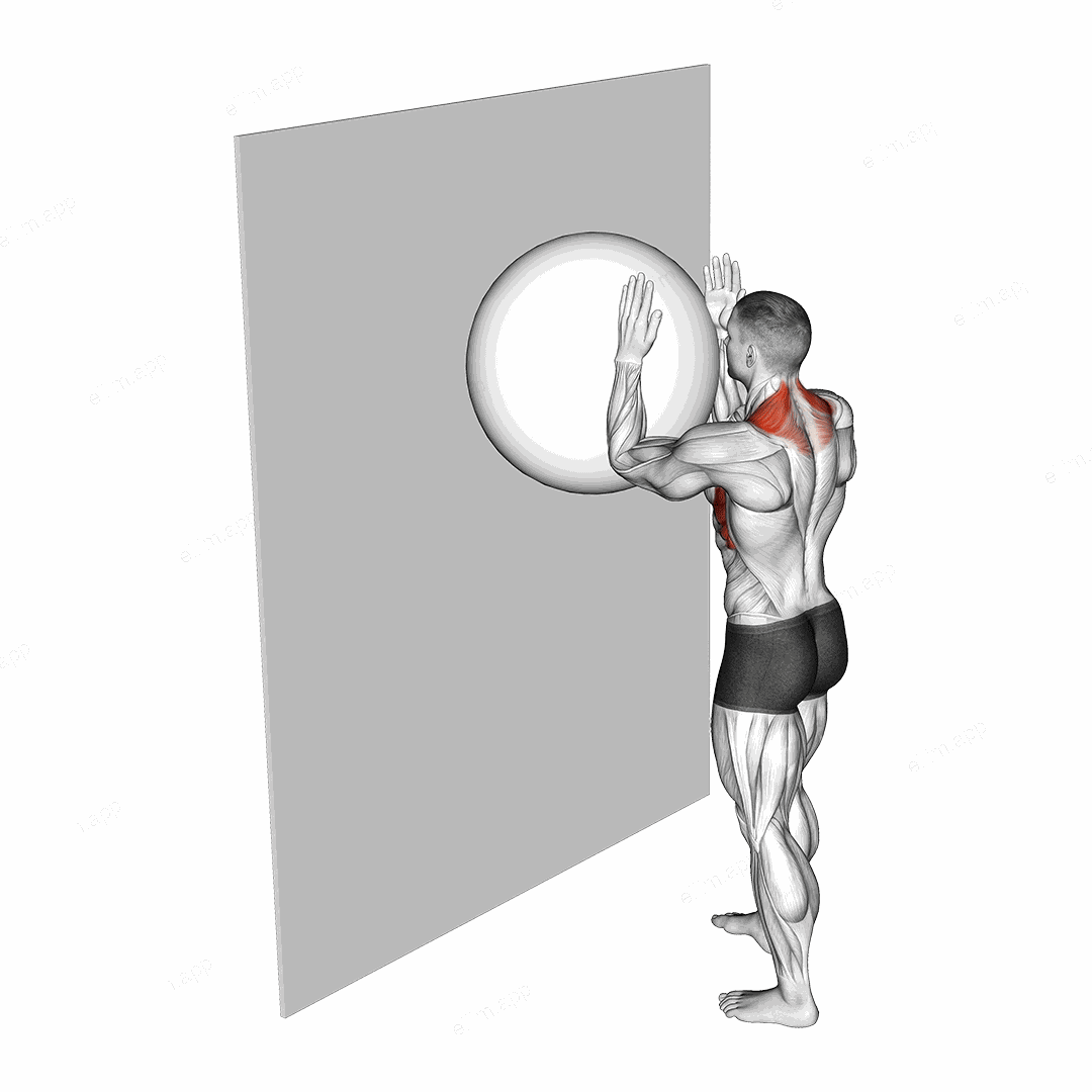 Exercise Ball Serratus Wall Slide exercise targeting Chest and Pectoralis Major Clavicular Head