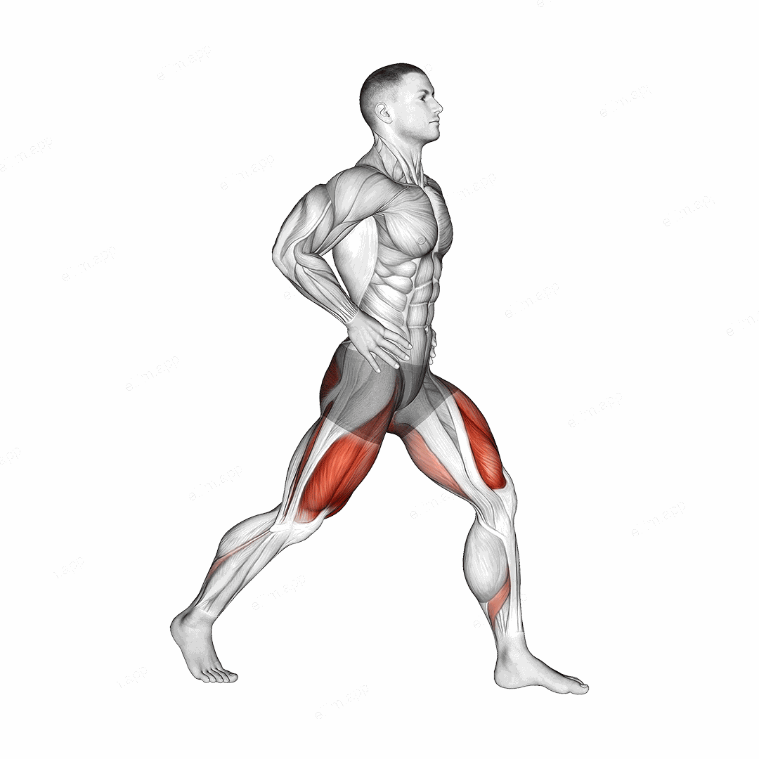 Split Squats exercise targeting Gluteus Maximus and Quadriceps